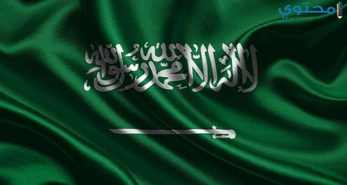 علم السعودية 25