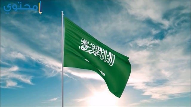 رمزيات علم السعودية أنستقرام