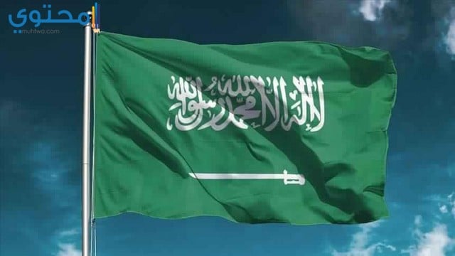علم السعودية بحجم كبير