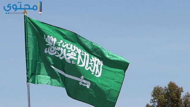 أجدد صور العلم السعودي