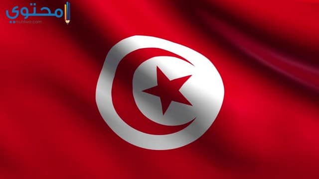 أجمل الصور لعلم تونس 