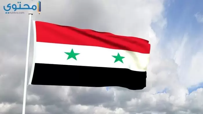 علم الجمهورية العربية السورية 