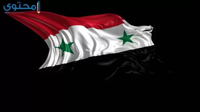 صور العلم السوري الأنستغرام 