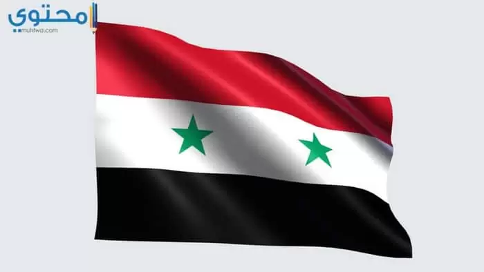 العلم السوري الجديد للفيس 