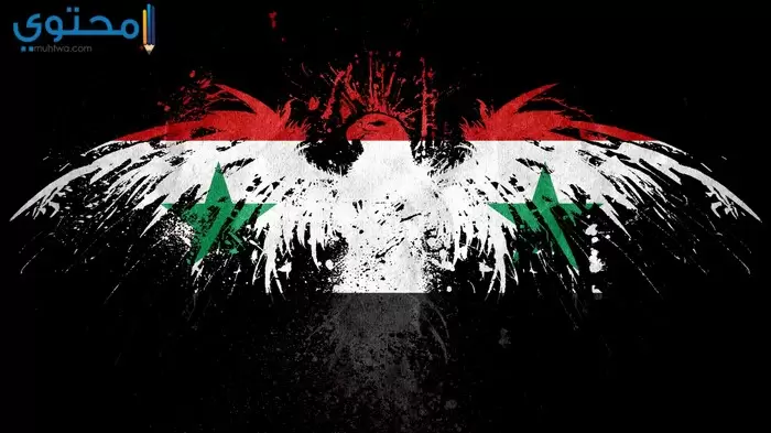 صور ورمزيات علم سوريا 