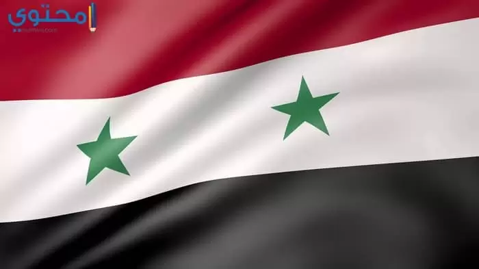 العلم السوري الجديد 