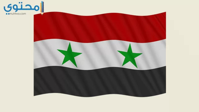 سوريا2
