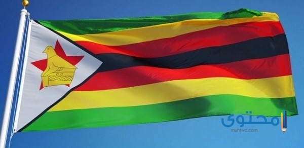 عملة زيمبابوي 