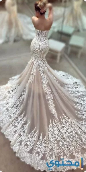 آخر صيحات الموضة لفساتين الزفاف ذيل السمكة