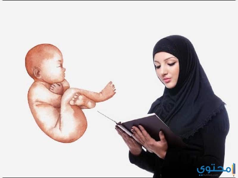فوائد قراءة القرآن الكريم للحامل1