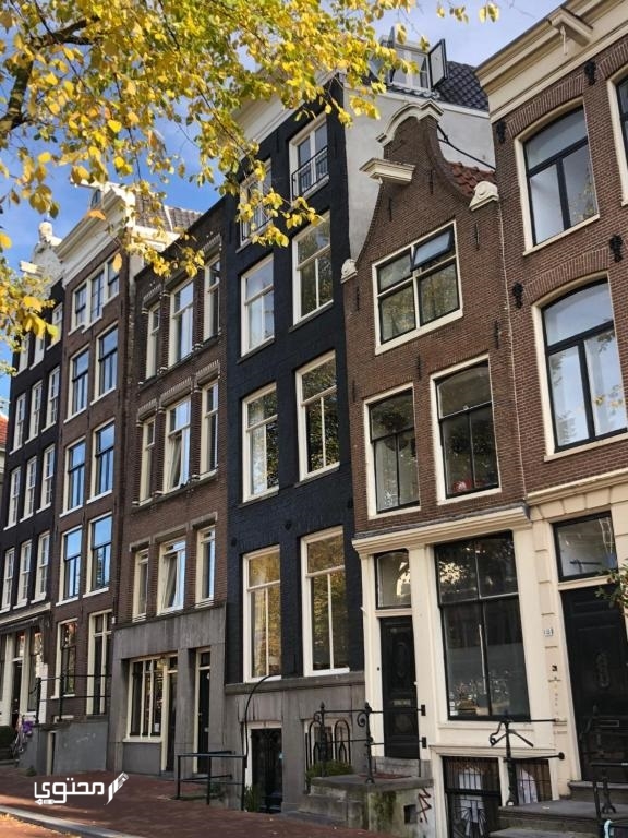 قائمة أبرز فنادق أمستردام دام سكوير 2024