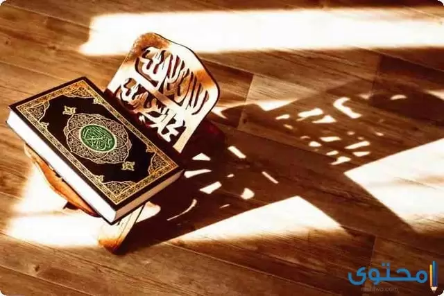 قراءه القرآن في صلاة التراويح بالمنزل