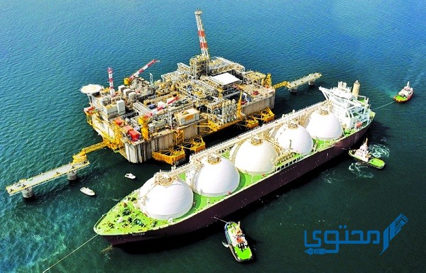 كم يبلغ إنتاج قطر من الغاز 2024 يوميًا