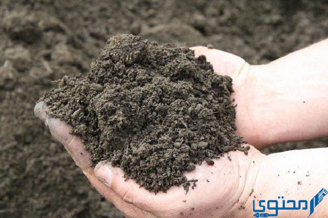 ما هي التربة الغرينية؟