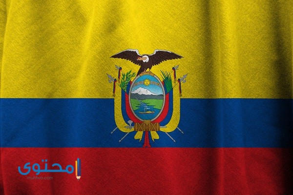 ما هي عملة الإكوادور