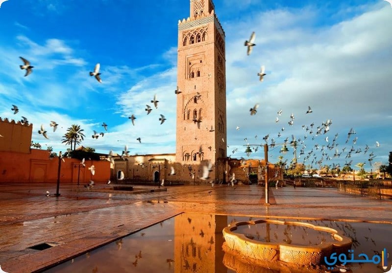 مدينة مراكش