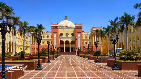 مصروفات الجامعات الخاصة في مصر