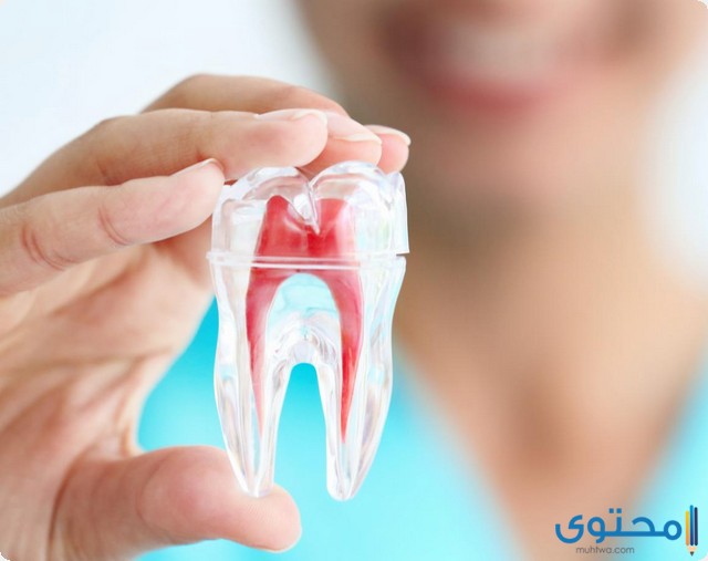 مضاد حيوي لالتهاب عصب الأسنان