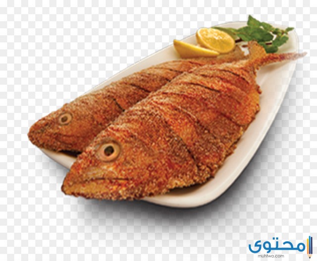 مطعم سمك في شرم الشيخ