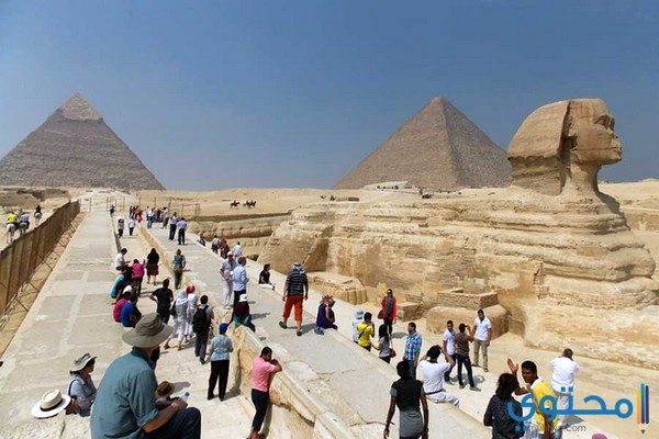 جمال مصر والآثار