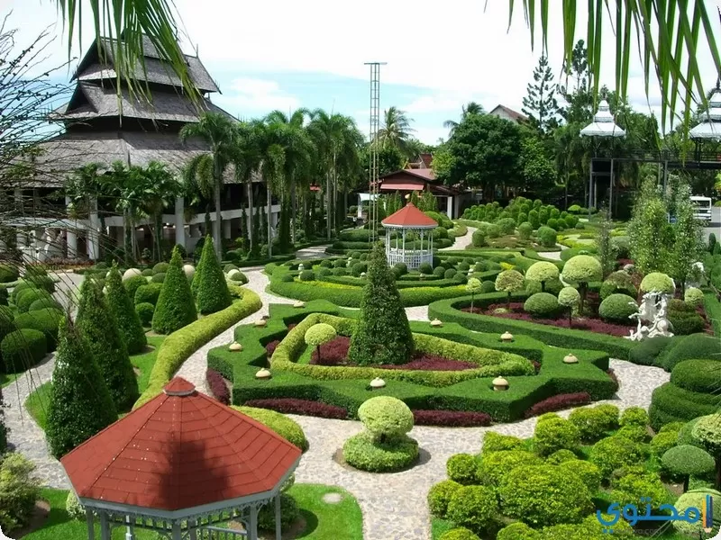 حديقة نونغ نوش تايلاند