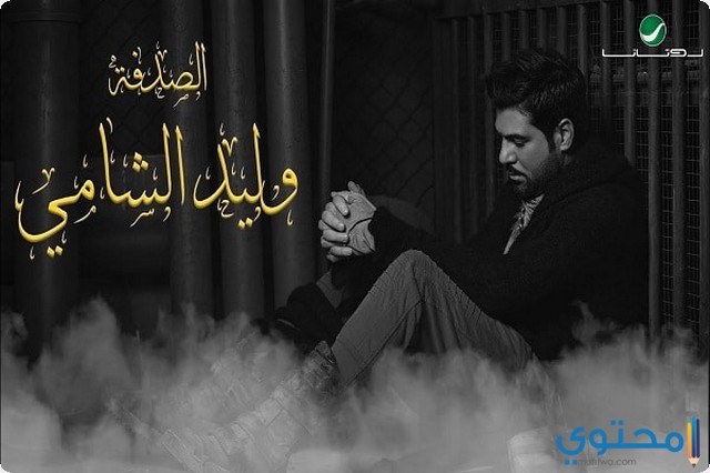 كلمات اغنية الصدفة وليد الشامى